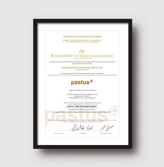 Ein gerahmtes Zertifikat mit der Überschrift 'Konformitätsbescheinigung' und dem Logo von pastus.