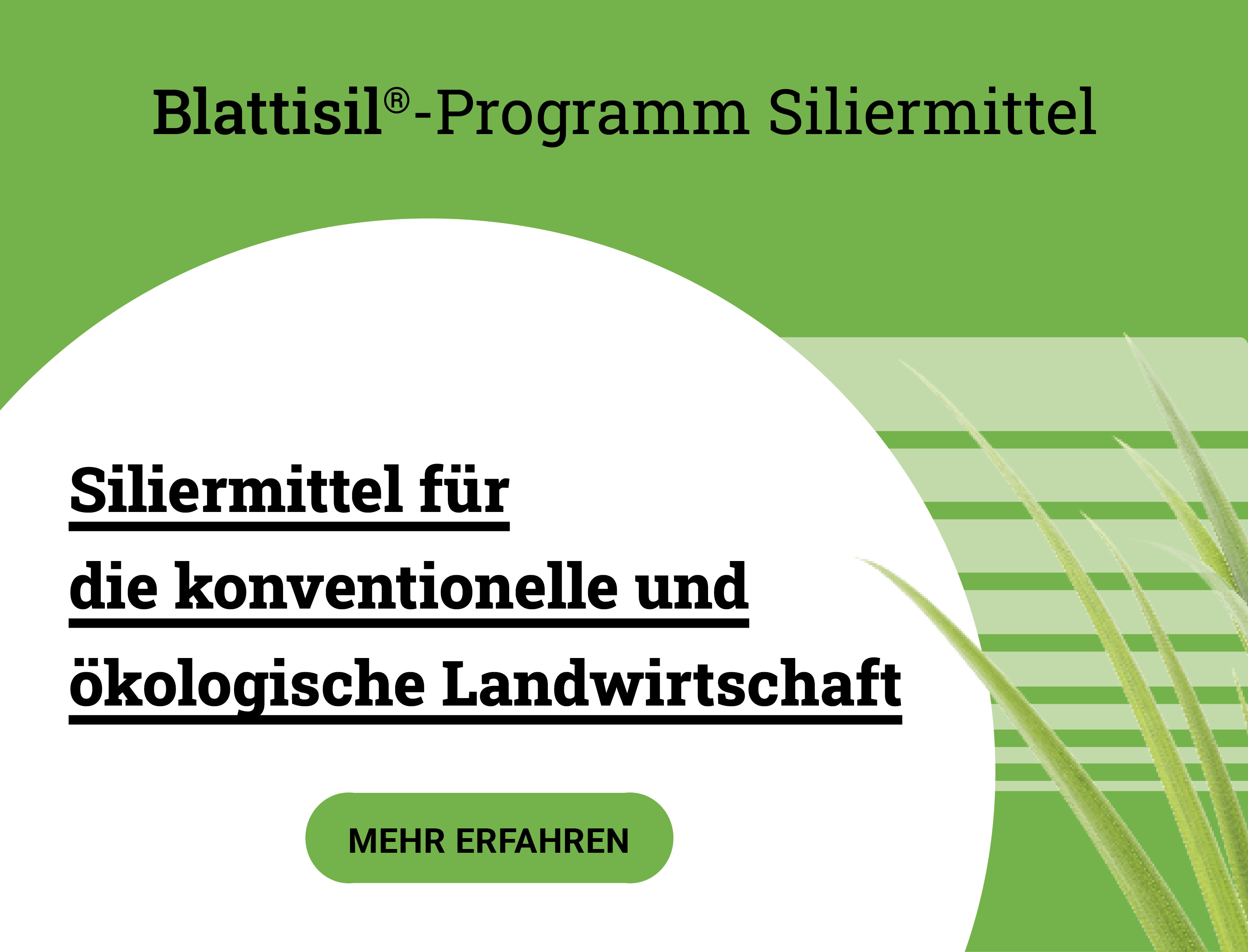Grüner Banner, Linke Seite sind drei Produkte von Blattisil abgebildet. In der Mitte wird auf Siliermittel hingewiesen.Weiterleitung zu Silier- und Konservierungsmittel